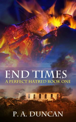 [A Perfect Hatred 01] • End Times